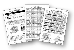 写真：体力測定データ
